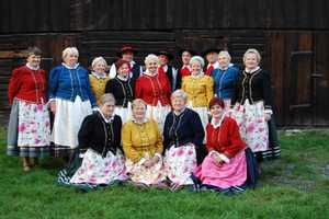 Zespół Dąbie na „Przeglądzie zespołów folklorystycznych Vici” Chorzów 2014. Powiększ zdjęcie.